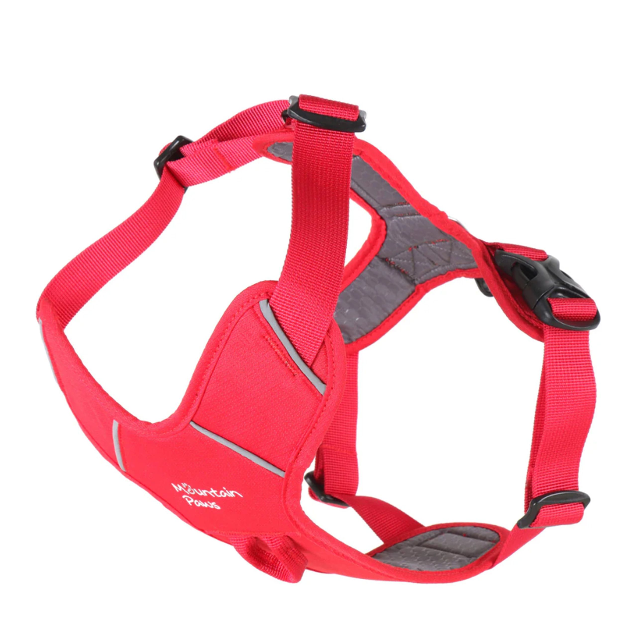 Nevisport