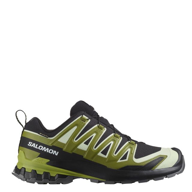 Salomon Mens XA PRO 3D V9 Gore-Tex Trail Running Shoes