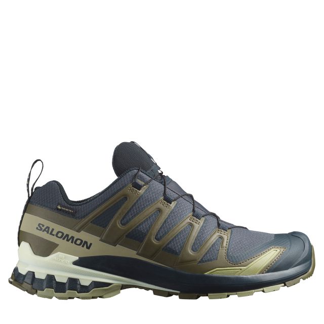 Salomon Mens XA PRO 3D V9 Gore-Tex Trail Running Shoes