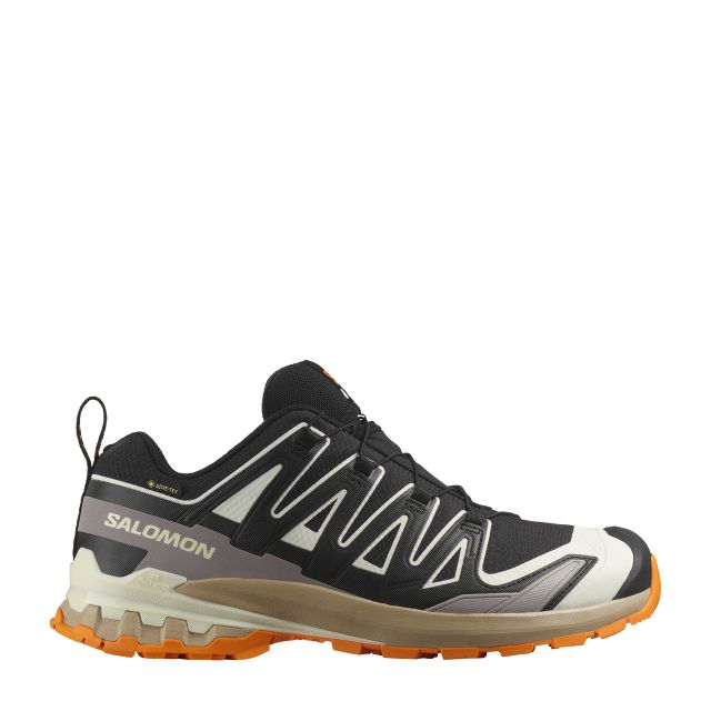 Salomon Mens XA Pro 3D V9 Gore-Tex Trail Running Shoes