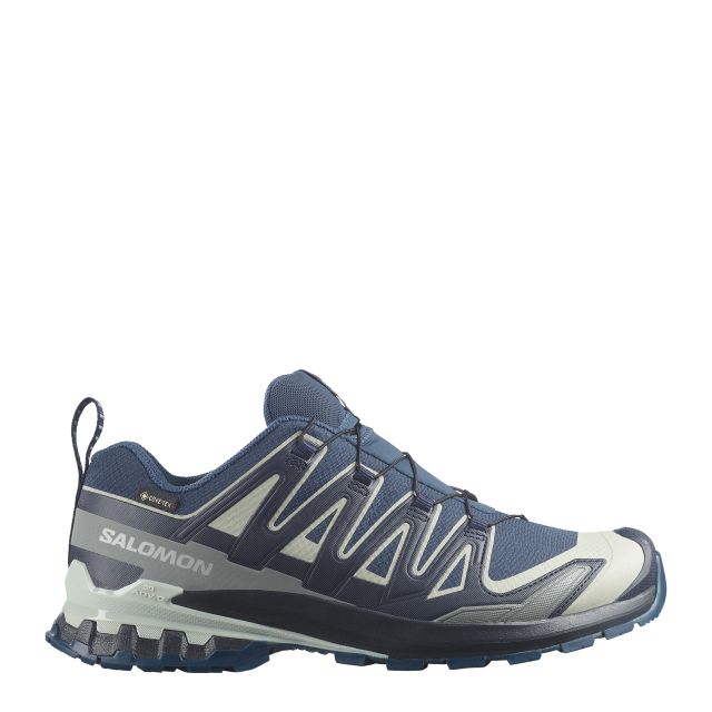 Salomon Mens XA Pro 3D V9 Gore-Tex Trail Running Shoes