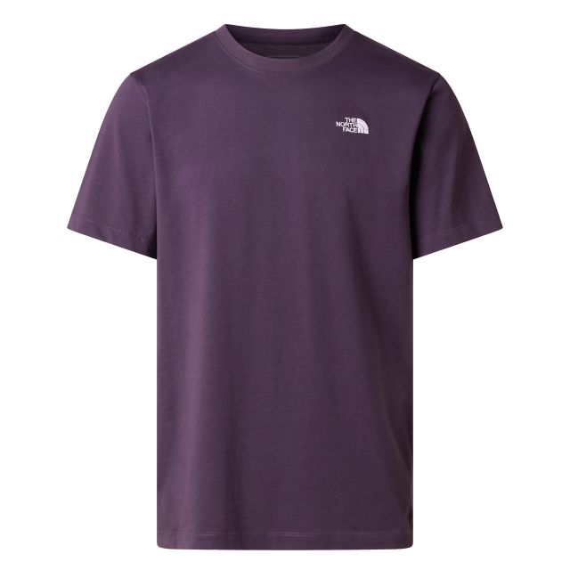 The North Face Mens Evolution Simple Dome Regular T-Shirt