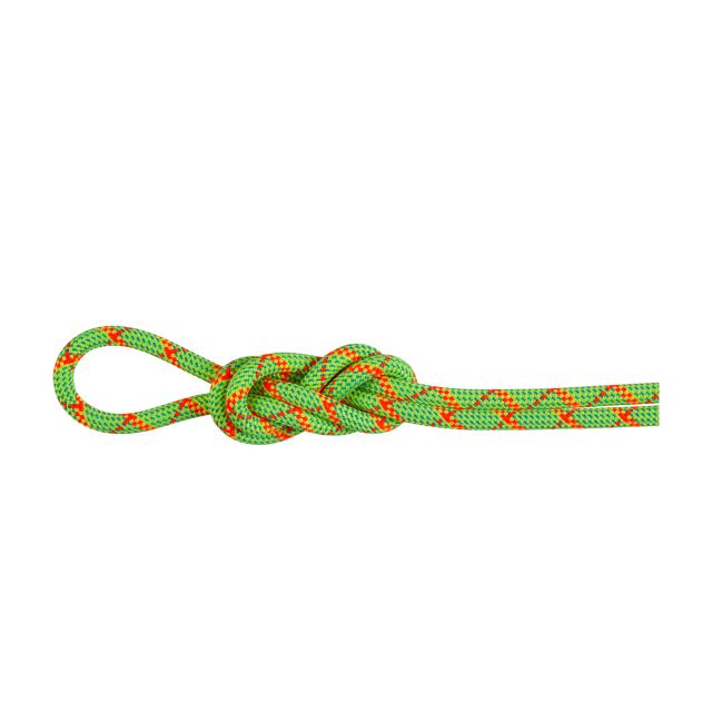 Mammut 8.0 Alpine Core Protect Dry Rope 40m